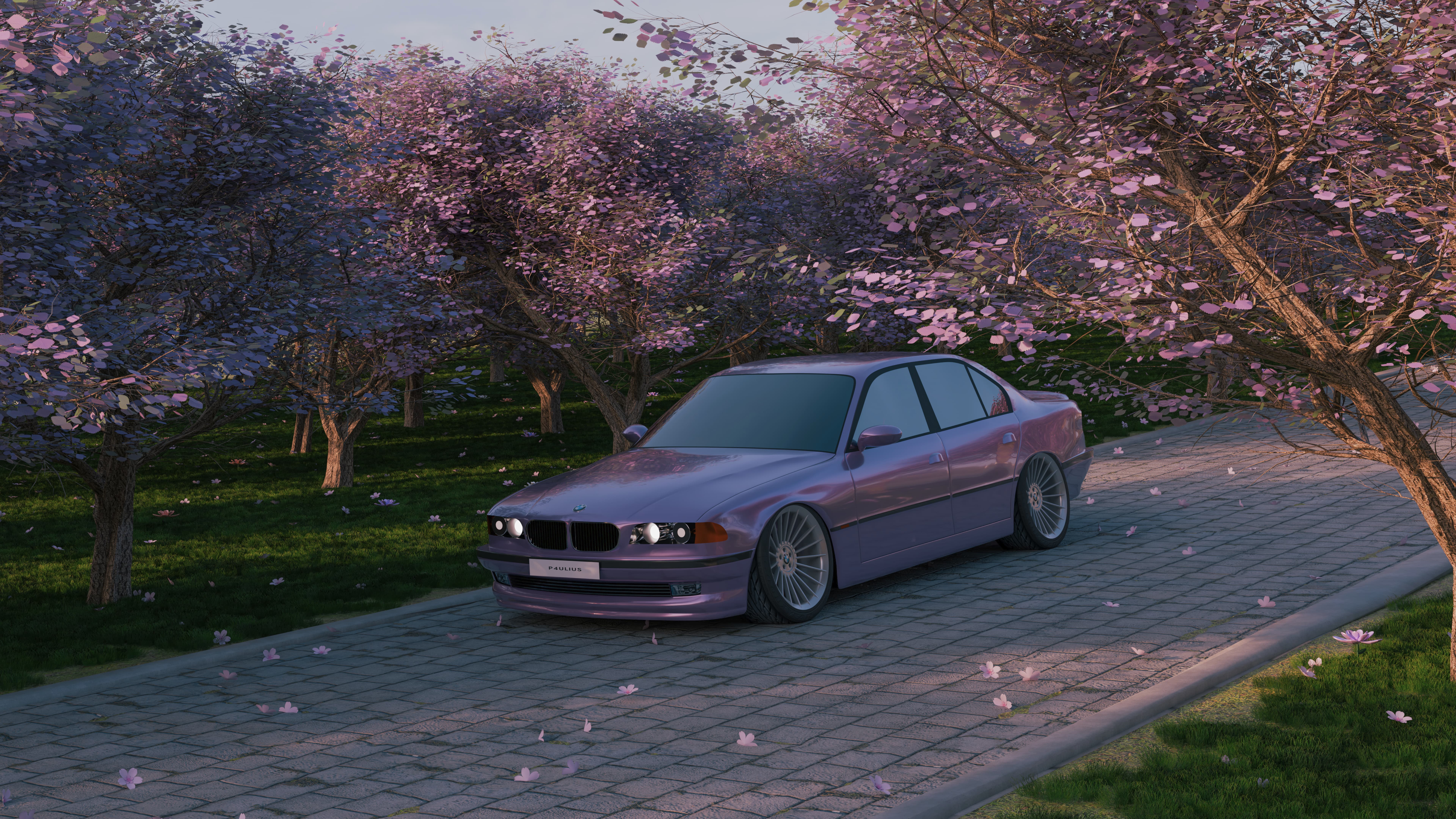 Sakura Blossom Drive